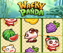 Wacky Panda